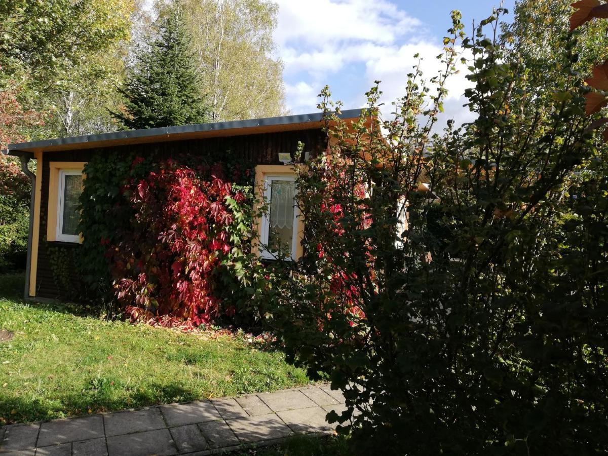 Villa Ferienhaus Waldglück Tanne Exterior foto