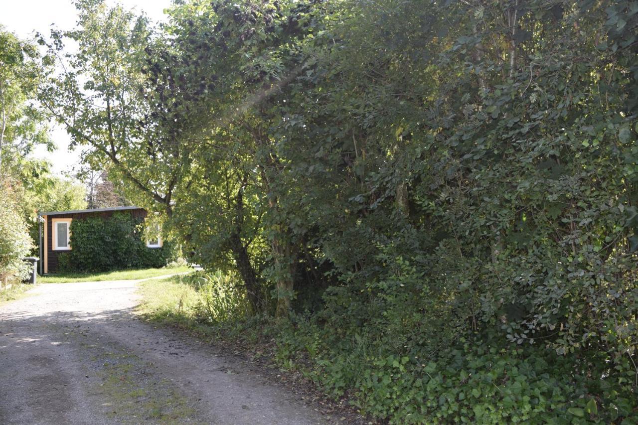 Villa Ferienhaus Waldglück Tanne Exterior foto