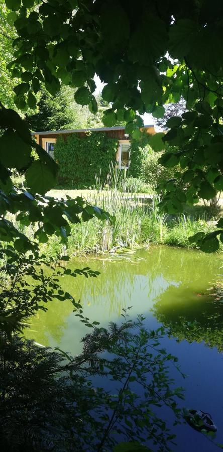 Villa Ferienhaus Waldglück Tanne Exterior foto